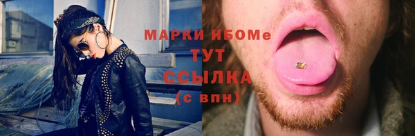 стаф Баксан