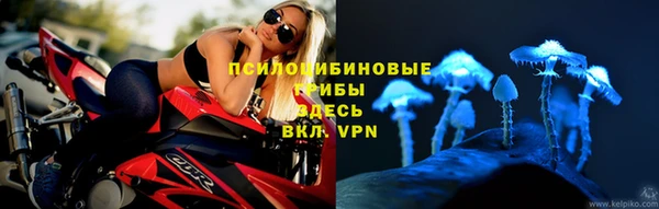 сатива Балабаново