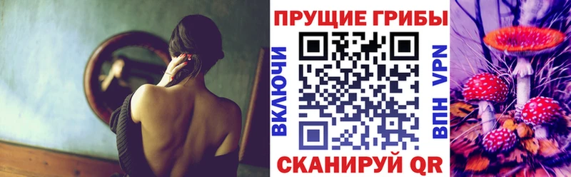 Псилоцибиновые грибы MAGIC MUSHROOMS  как найти   Всеволожск 